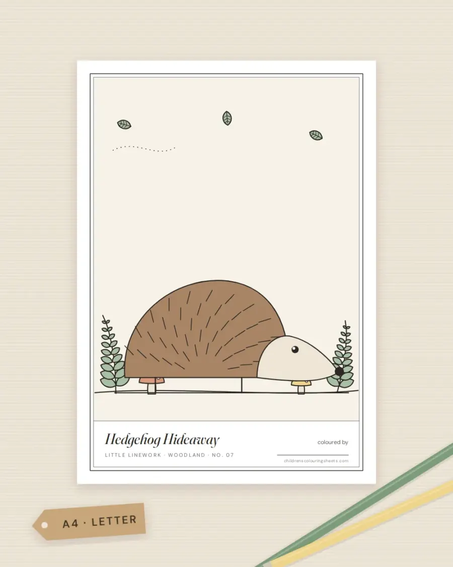 Hedgehog Hideaway Colouring Sheet