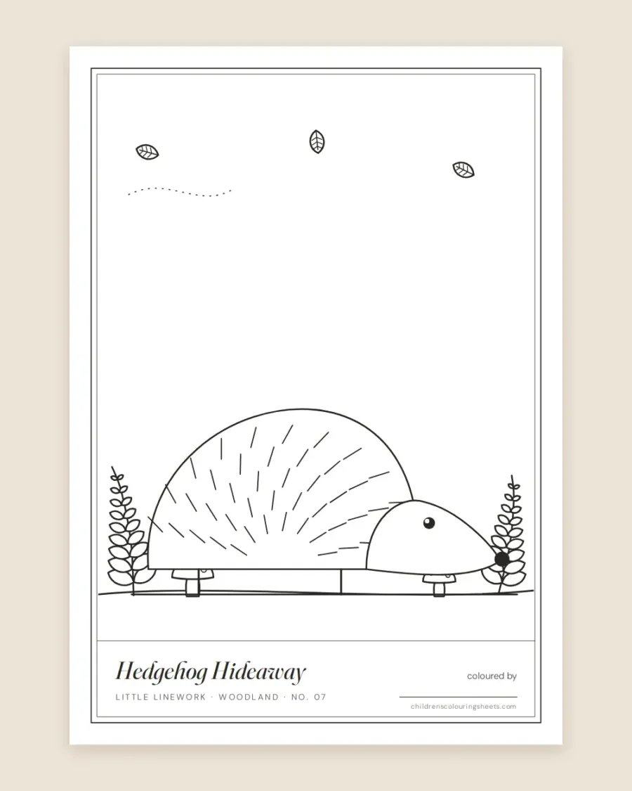 Hedgehog Hideaway Colouring Sheet — printable preview