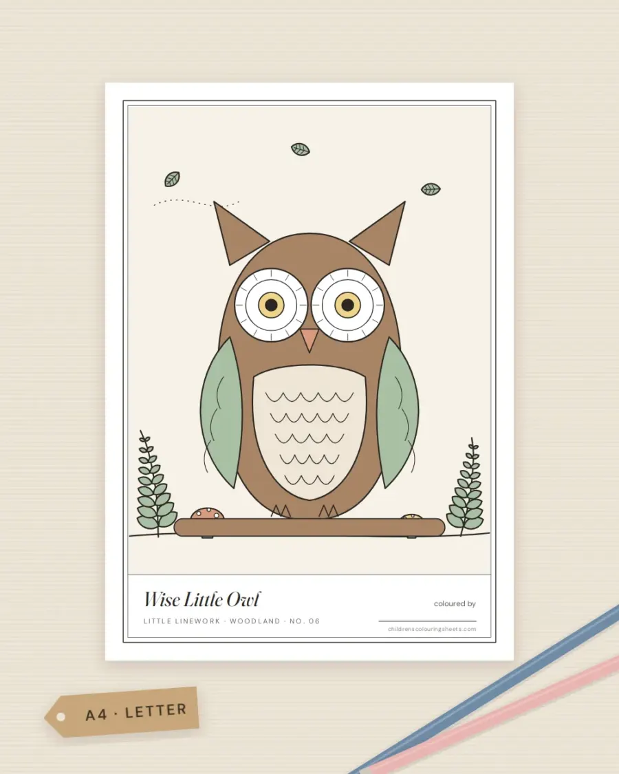 Wise Little Owl Colouring Sheet